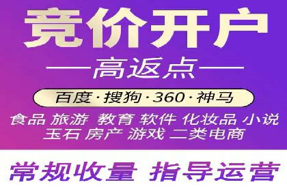 案例解析：竞价SEM托管助力电商增长